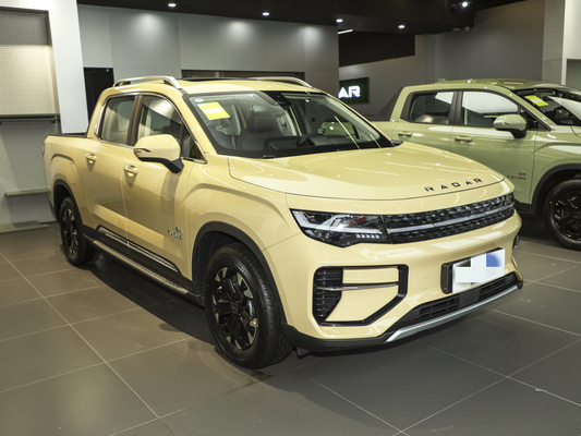 Geely RD6 Pure Electric Pickup Truck 4 portes 5 sièges Structure du corps Système ABS inclus