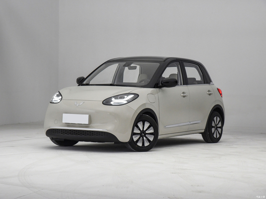 2023 Wuling Bingo Mini EV CLTC 333km 5 portes 4 sièges Petite voiture électrique