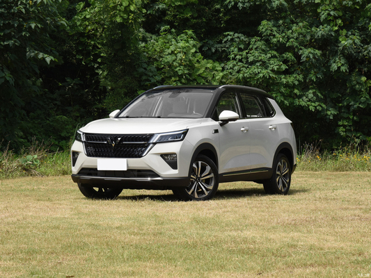 Le frein de stationnement manuel 2021 Wuling Star 1.5T CVT Xingyao Edition 4 portes 5 sièges SUV