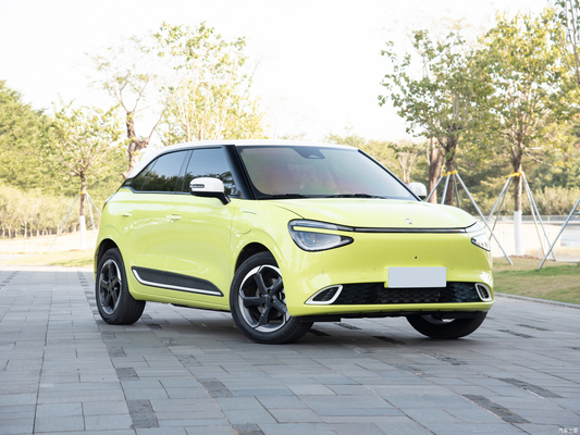 Type de carburant hybride 2024 Nammi 01 MAX Petit véhicule électrique intelligent avec une autonomie de 430 km