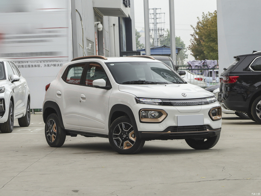 Nammi BoxEV Light Wind Version Modèle standard Durée de vie de la batterie 201KM Chinese Family Car SUV