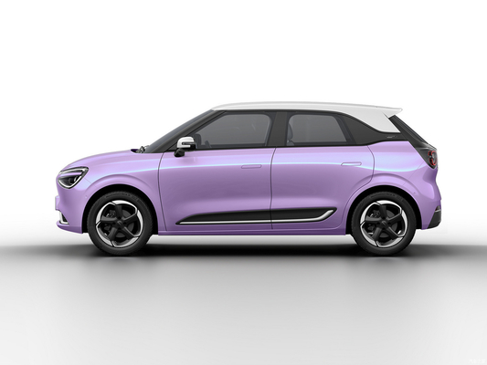 Max Smart Energy Vehicle Dongfeng Nami 01 2024 430 avec une structure de carrosserie de 4030*1810*1570