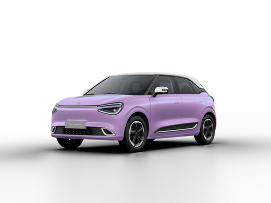 Max Smart Energy Vehicle Dongfeng Nami 01 2024 430 avec une structure de carrosserie de 4030*1810*1570