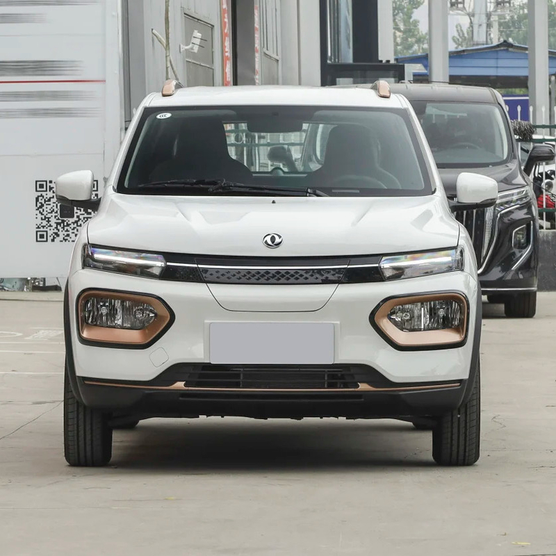 Nammi BoxEV Light Wind Version Modèle standard Durée de vie de la batterie 201KM Chinese Family Car SUV