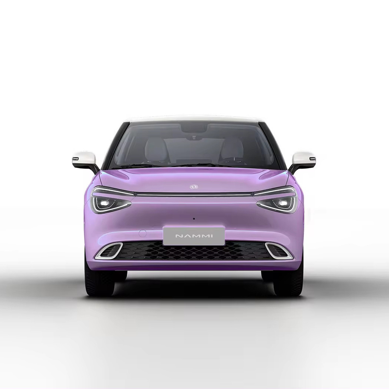 Max Smart Energy Vehicle Dongfeng Nami 01 2024 430 avec une structure de carrosserie de 4030*1810*1570